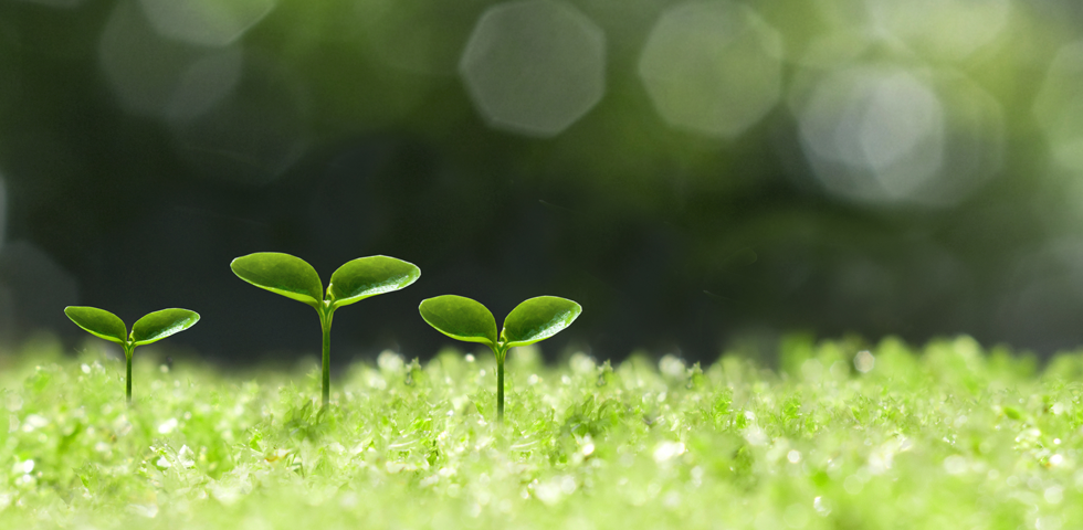 吉川智子オフィシャルサイト