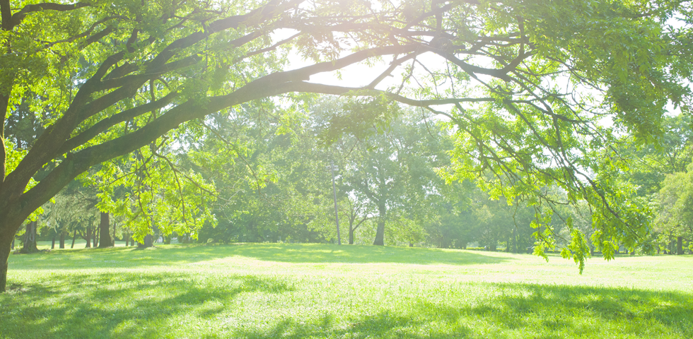 吉川智子オフィシャルサイト